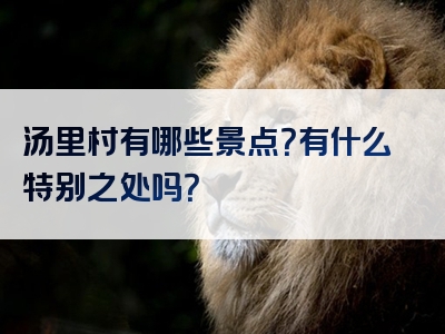 汤里村有哪些景点？有什么特别之处吗？