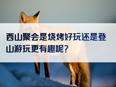 西山聚会是烧烤好玩还是登山游玩更有趣呢？