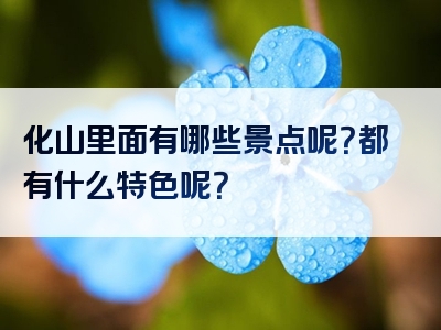 化山里面有哪些景点呢？都有什么特色呢？