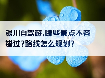 银川自驾游，哪些景点不容错过？路线怎么规划？