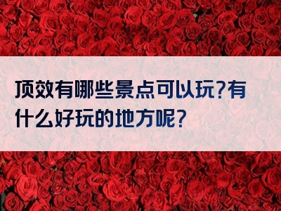 顶效有哪些景点可以玩？有什么好玩的地方呢？