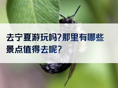 去宁夏游玩吗？那里有哪些景点值得去呢？