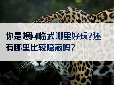 你是想问临武哪里好玩？还有哪里比较隐蔽吗？