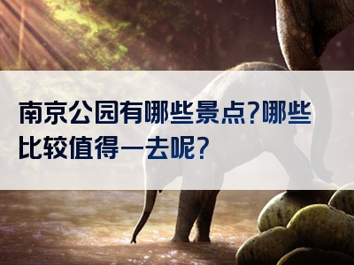 南京公园有哪些景点？哪些比较值得一去呢？