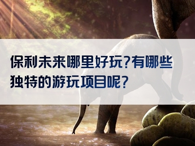 保利未来哪里好玩？有哪些独特的游玩项目呢？