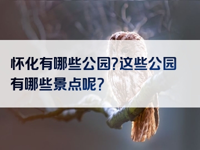 怀化有哪些公园？这些公园有哪些景点呢？