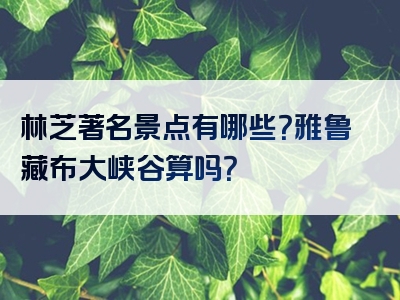 林芝著名景点有哪些？雅鲁藏布大峡谷算吗？