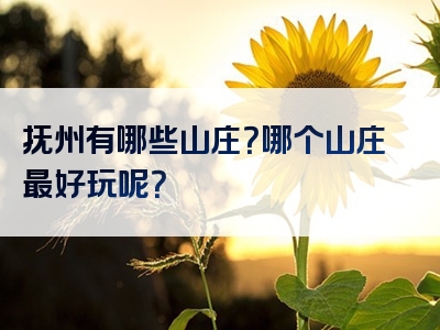 抚州有哪些山庄？哪个山庄最好玩呢？
