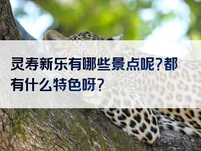 灵寿新乐有哪些景点呢？都有什么特色呀？