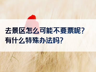 去景区怎么可能不要票呢？有什么特殊办法吗？