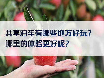 共享泊车有哪些地方好玩？哪里的体验更好呢？