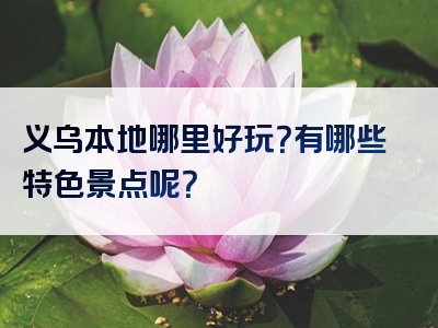 义乌本地哪里好玩？有哪些特色景点呢？