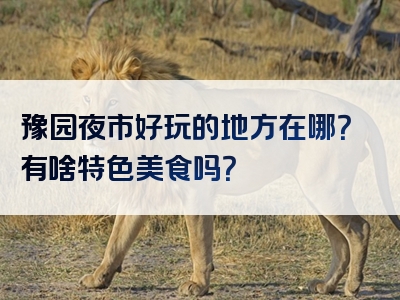 豫园夜市好玩的地方在哪？有啥特色美食吗？