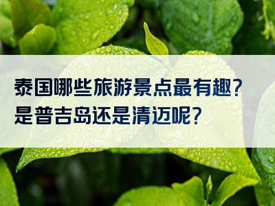 泰国哪些旅游景点最有趣？是普吉岛还是清迈呢？