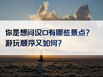 你是想问汉口有哪些景点？游玩顺序又如何？