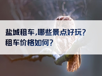 盐城租车，哪些景点好玩？租车价格如何？