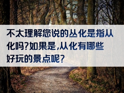 不太理解您说的丛化是指从化吗？如果是，从化有哪些好玩的景点呢？