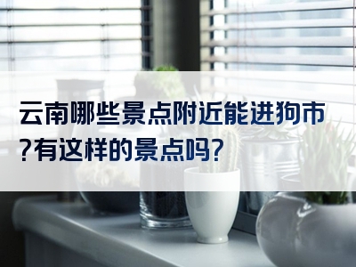 云南哪些景点附近能进狗市？有这样的景点吗？