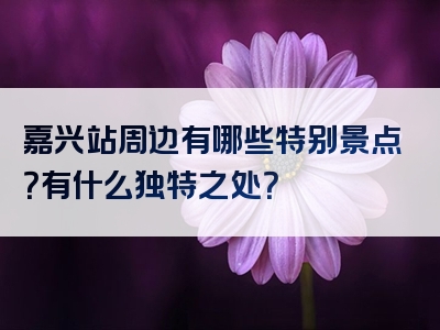 嘉兴站周边有哪些特别景点？有什么独特之处？