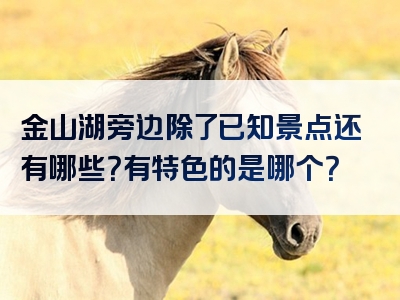 金山湖旁边除了已知景点还有哪些？有特色的是哪个？