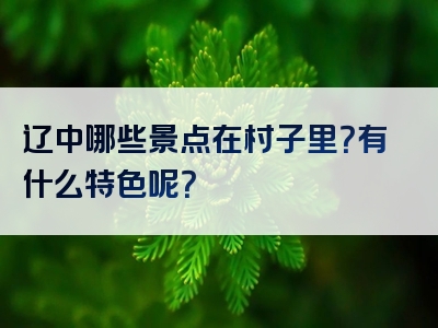 辽中哪些景点在村子里？有什么特色呢？