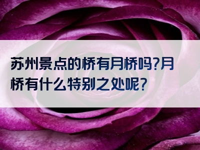苏州景点的桥有月桥吗？月桥有什么特别之处呢？