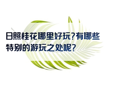 日照桂花哪里好玩？有哪些特别的游玩之处呢？