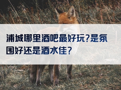 浦城哪里酒吧最好玩？是氛围好还是酒水佳？
