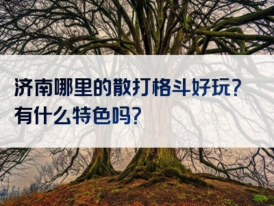济南哪里的散打格斗好玩？有什么特色吗？