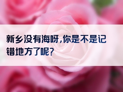 新乡没有海呀，你是不是记错地方了呢？