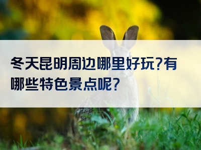 冬天昆明周边哪里好玩？有哪些特色景点呢？