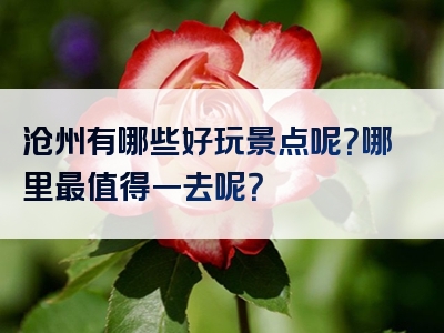 沧州有哪些好玩景点呢？哪里最值得一去呢？