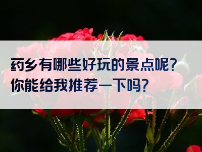 药乡有哪些好玩的景点呢？你能给我推荐一下吗？