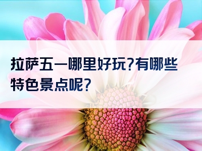 拉萨五一哪里好玩？有哪些特色景点呢？