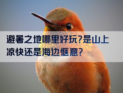 避暑之地哪里好玩？是山上凉快还是海边惬意？