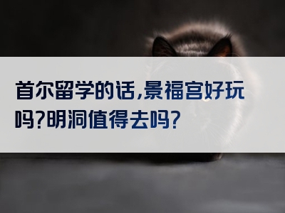 首尔留学的话，景福宫好玩吗？明洞值得去吗？