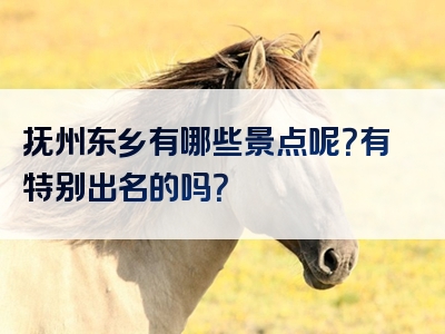 抚州东乡有哪些景点呢？有特别出名的吗？