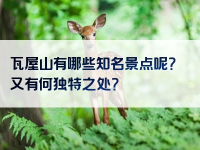 瓦屋山有哪些知名景点呢？又有何独特之处？
