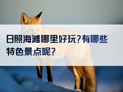 日照海滩哪里好玩？有哪些特色景点呢？